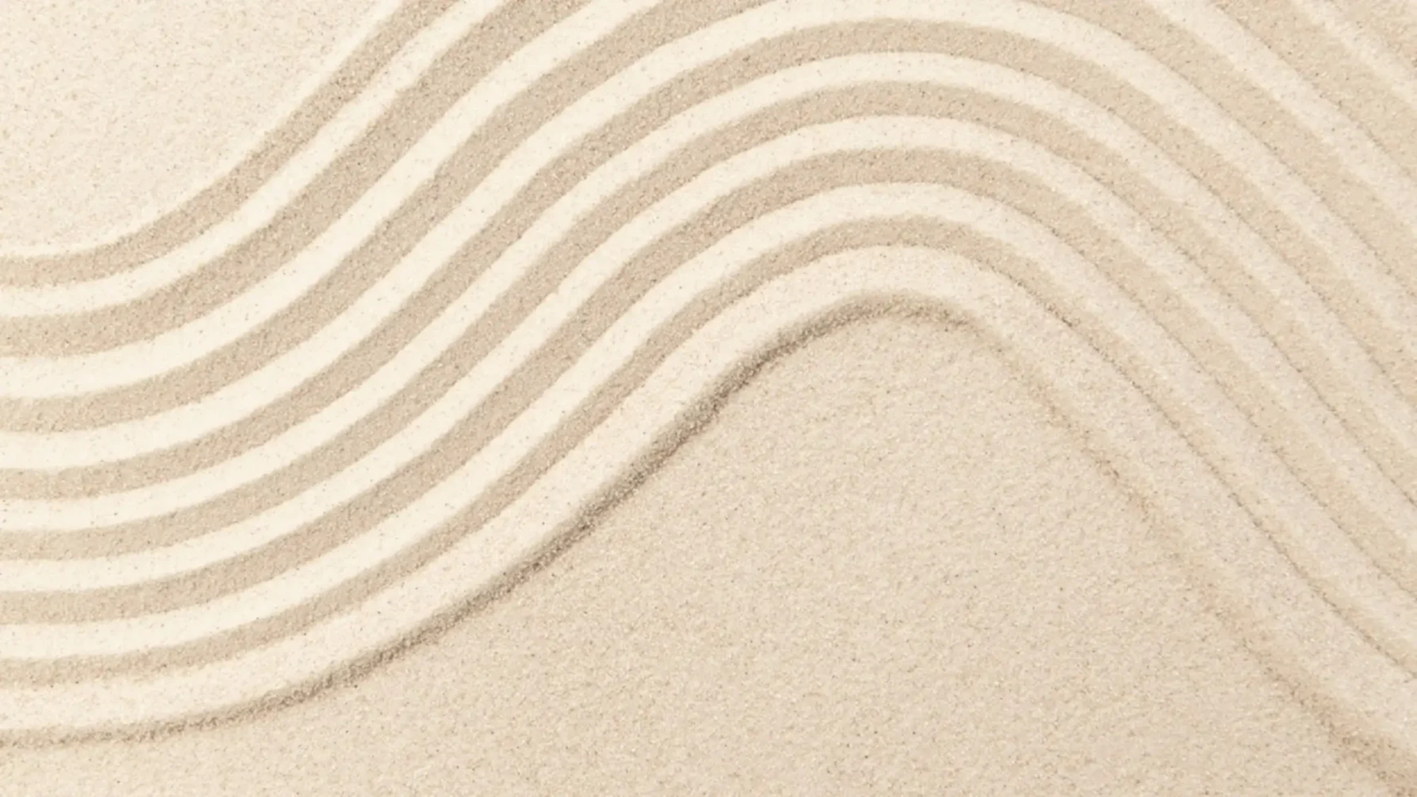 How psychedelic accompaniment fosters safety, trust and transformation in psychedelic retreats