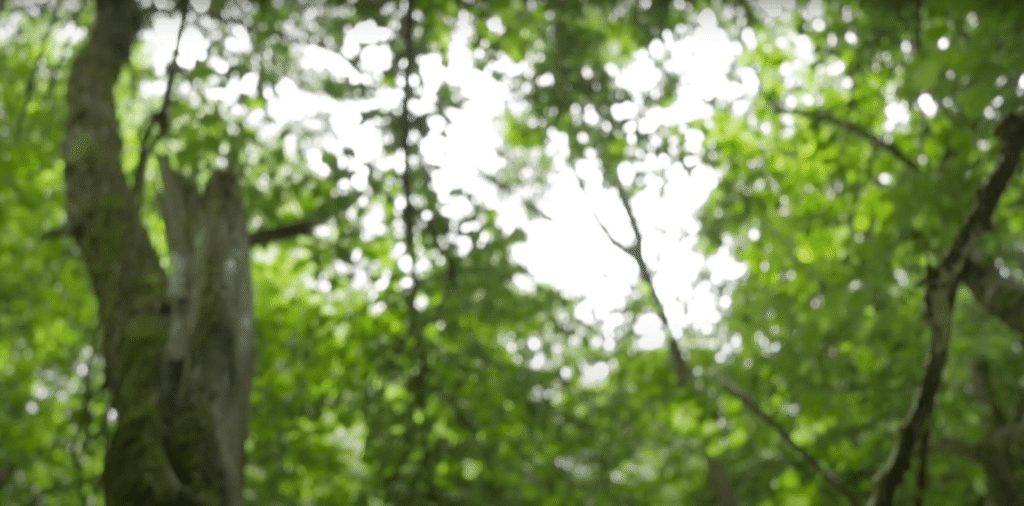 Square Breathing Meditation technique video for grounding