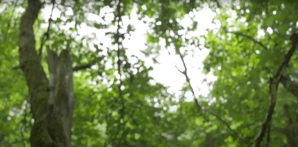 Square Breathing Meditation technique video for grounding