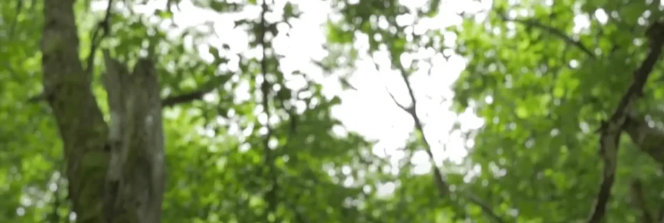 Square Breathing Meditation technique video for grounding