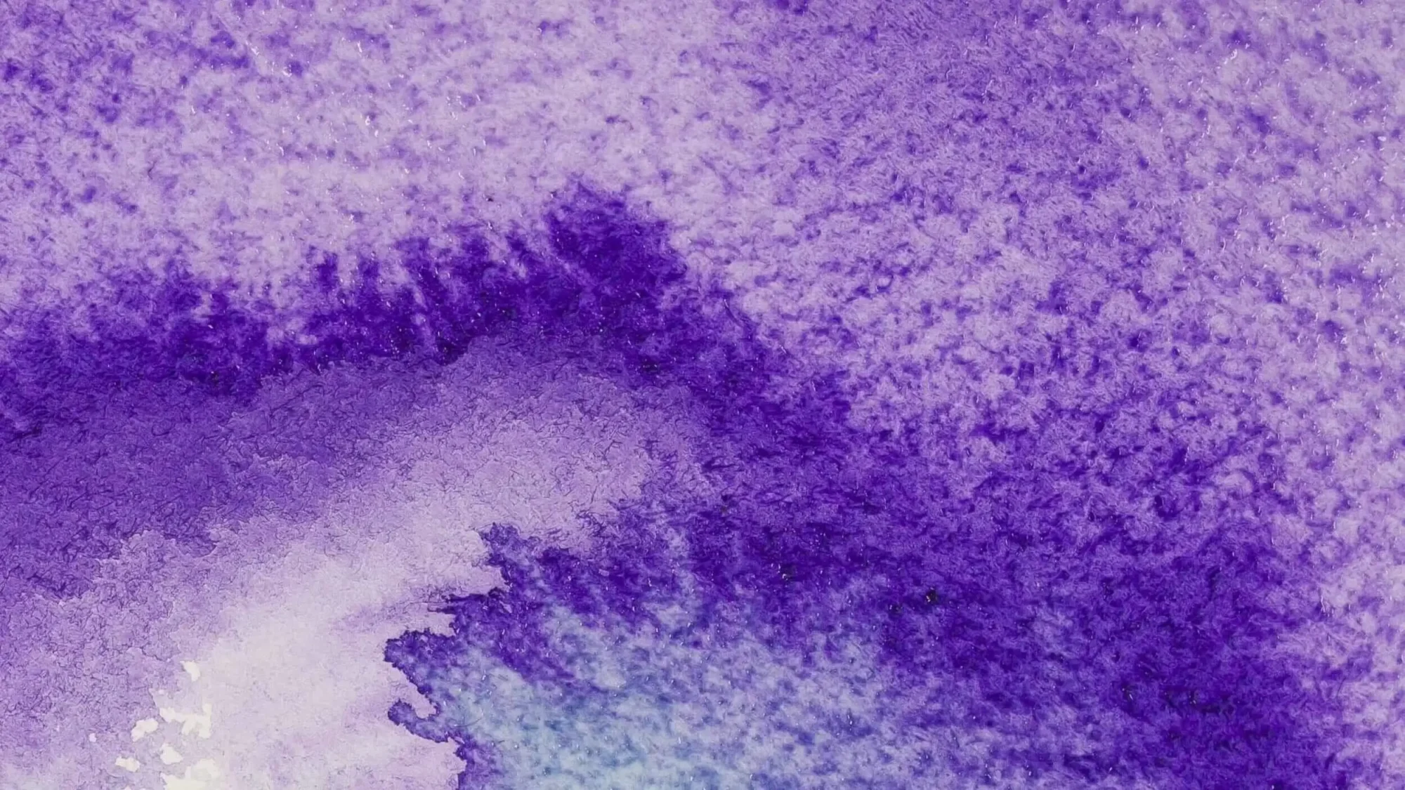 About us - Conscious Growth. Who we are. Who is our team. Why do we do this. What are our values.