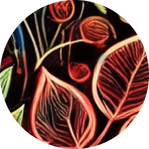Conscious Growth - psychedelic psilocybin retreat participant experience and testimonial