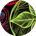 Conscious Growth - psychedelic psilocybin retreat participant experience and testimonial