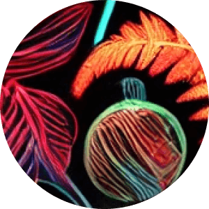 Conscious Growth - psychedelic psilocybin retreat participant experience and testimonial