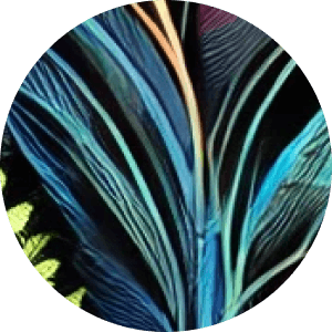 Conscious Growth - psychedelic psilocybin retreat participant experience and testimonial