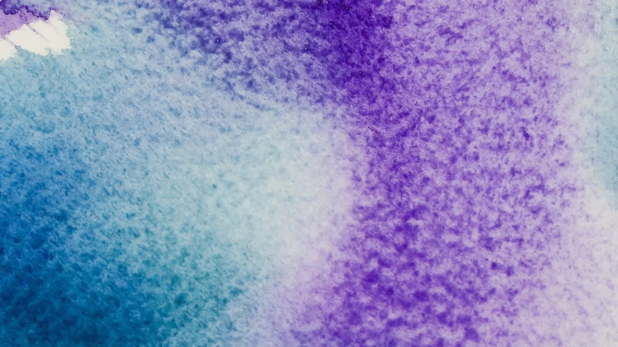 Conscious Growth Psychedelic Psilocybin Retreats testimonials