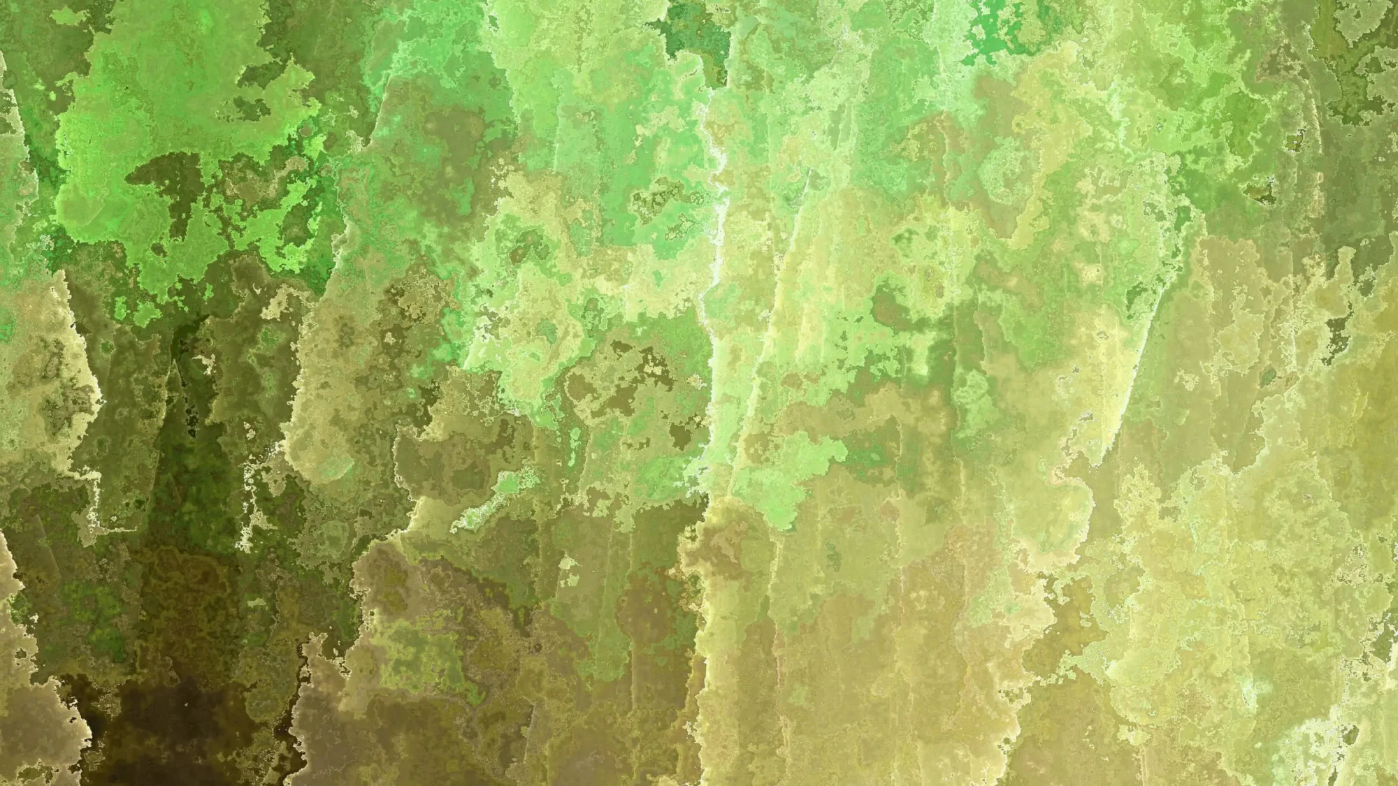 Psychedelic retreat for artists and creatives at Conscious Growth