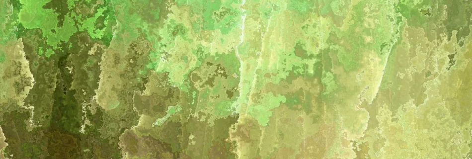 Psychedelic retreat for artists and creatives at Conscious Growth