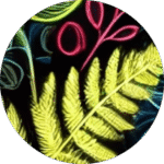 Conscious Growth - psychedelic psilocybin retreat participant experience and testimonial