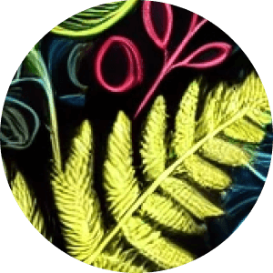 Conscious Growth - psychedelic psilocybin retreat participant experience and testimonial