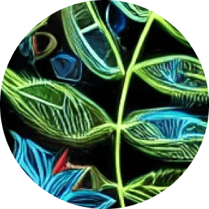 Conscious Growth - psychedelic psilocybin retreat participant experience and testimonial