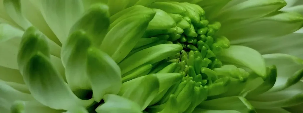 Conscious Growth - Psychedelic Retreat for LGBTQIA+ People