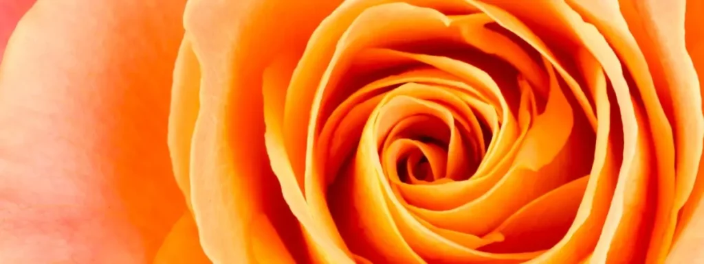 Conscious Growth - Psychedelic Retreat for LGBTQIA+ People