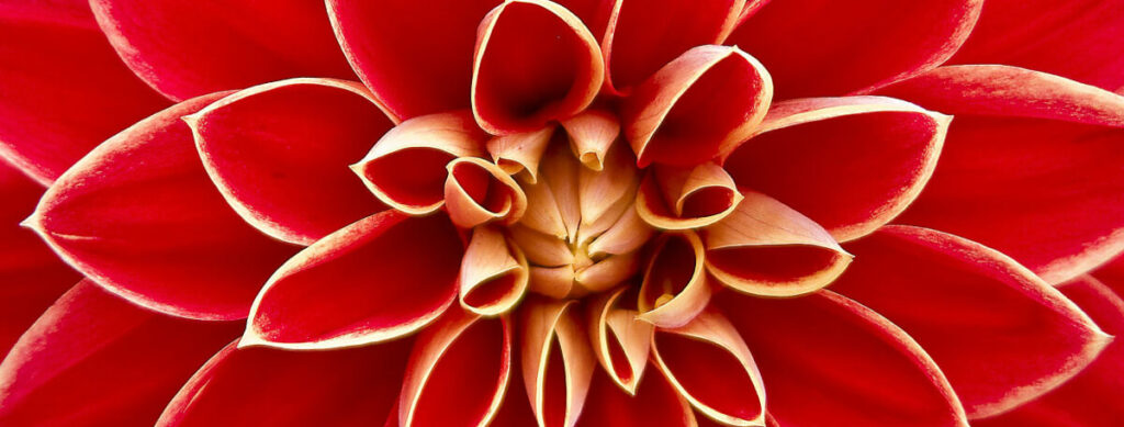 Conscious Growth - Psychedelic Retreat for LGBTQIA+ People