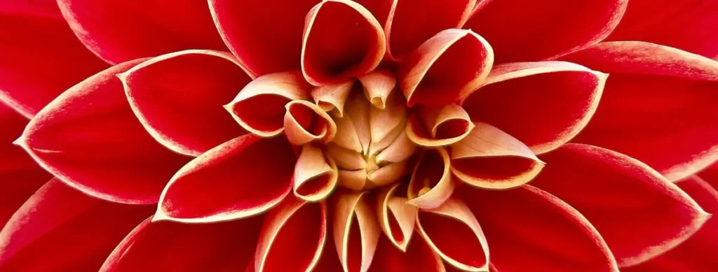 Conscious Growth - Psychedelic Retreat for LGBTQIA+ People