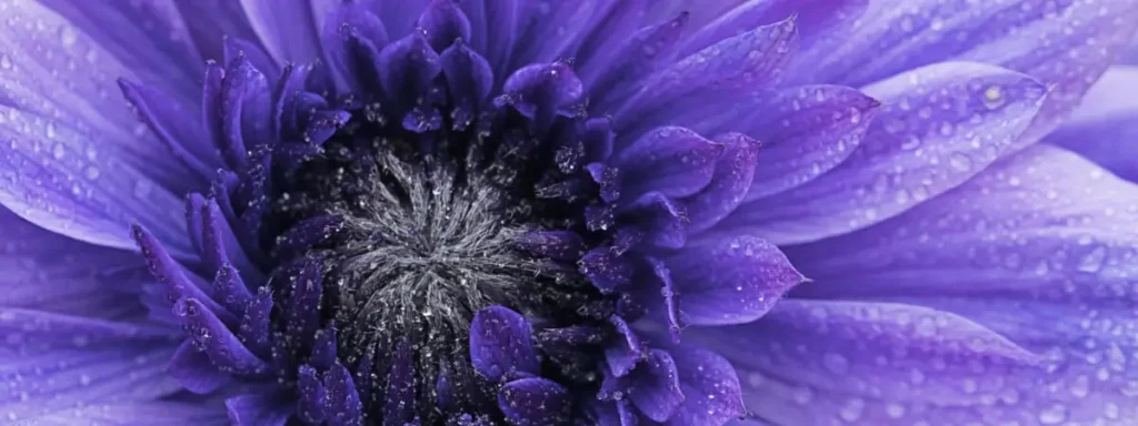 Conscious Growth - Psychedelic Retreat for LGBTQIA+ People