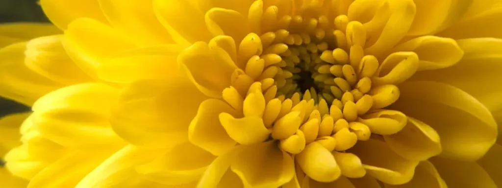 Conscious Growth - Psychedelic Retreat for LGBTQIA+ People