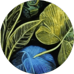 Conscious Growth - psychedelic psilocybin retreat participant experience and testimonial