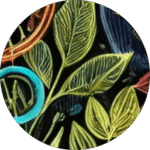 Conscious Growth - psychedelic psilocybin retreat participant experience and testimonial