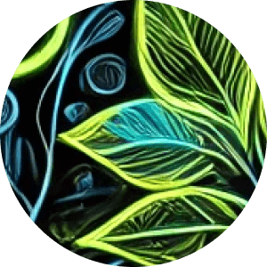 Conscious Growth - psychedelic psilocybin retreat participant experience and testimonial