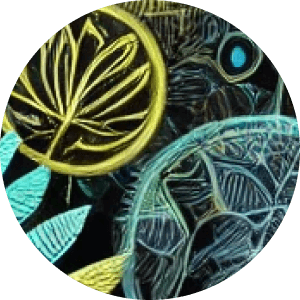 Conscious Growth - psychedelic psilocybin retreat participant experience and testimonial
